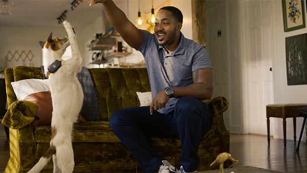 video production agency