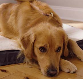 video production philadelphia