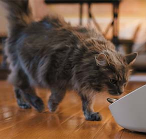 companies that make videos ny